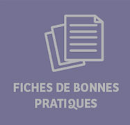 Fiches